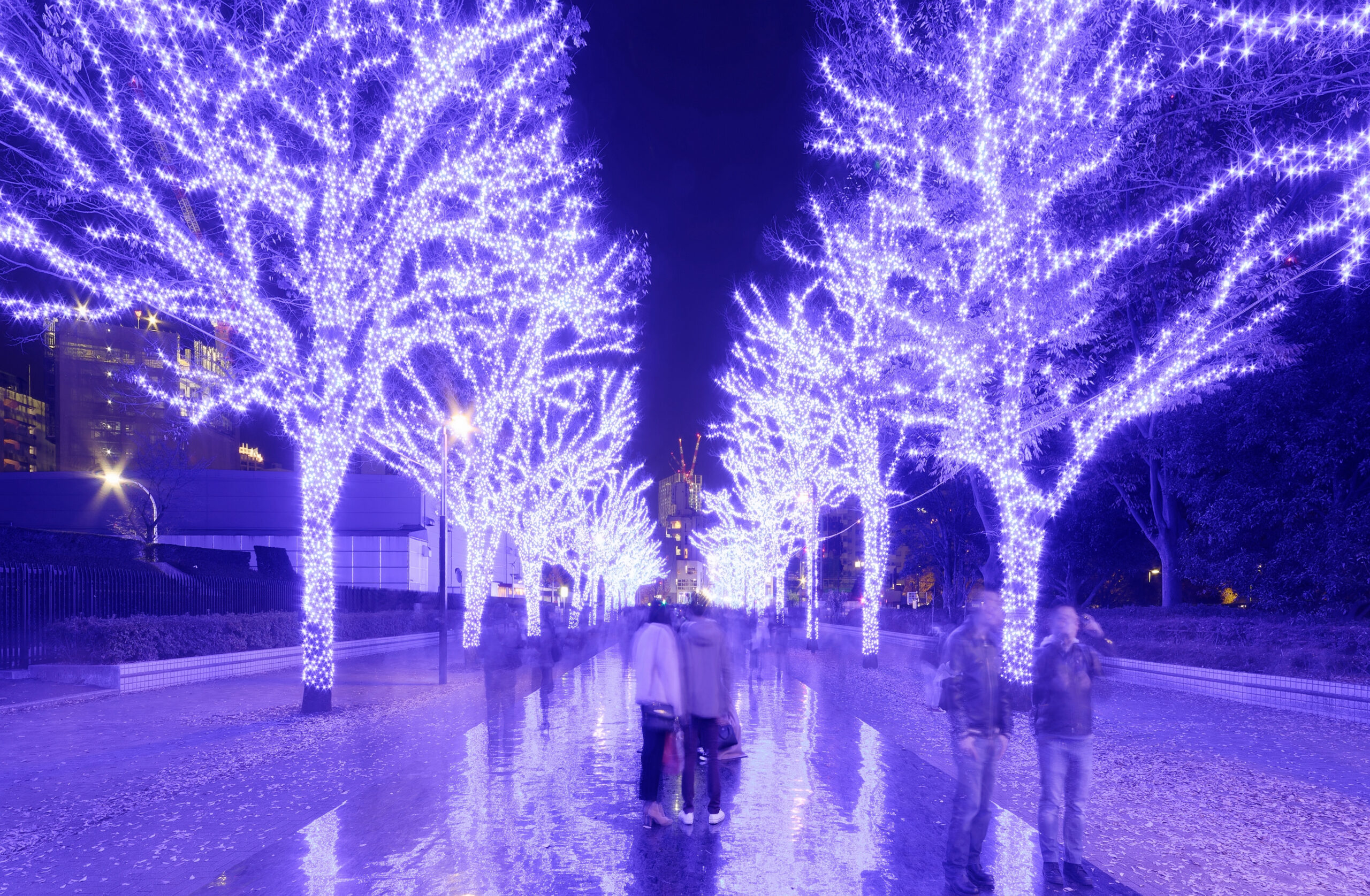 Tourists,Enjoy,The,Illumination,Display,For,Christmas,Season,&,New