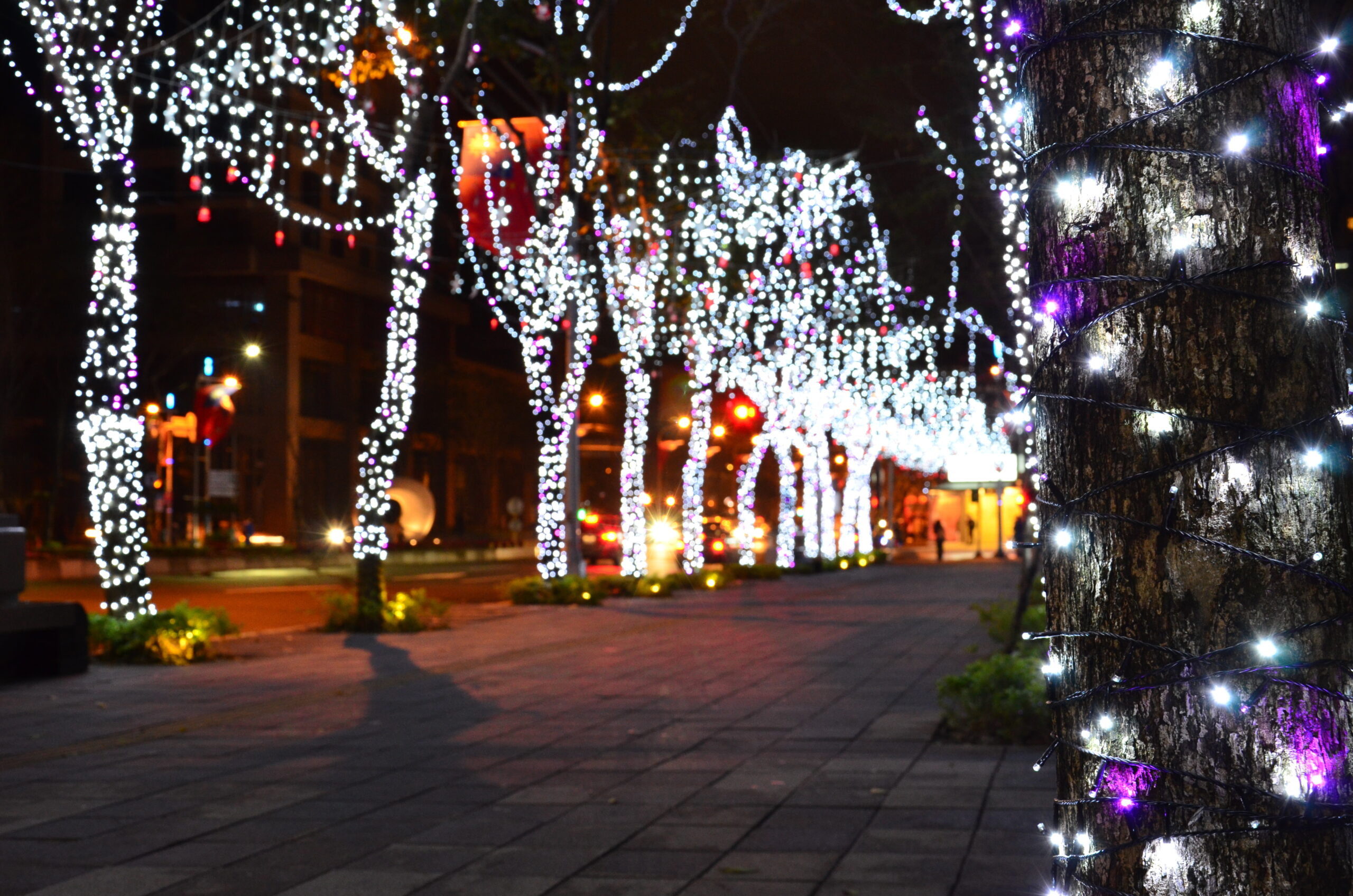 Christmas,Street,View