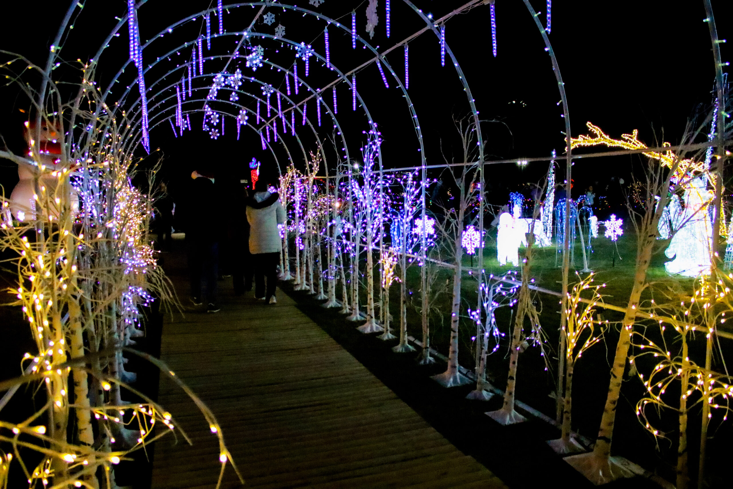 The Christmas light trail glowing after dark at the Maryland State Fairgrounds in Timonium